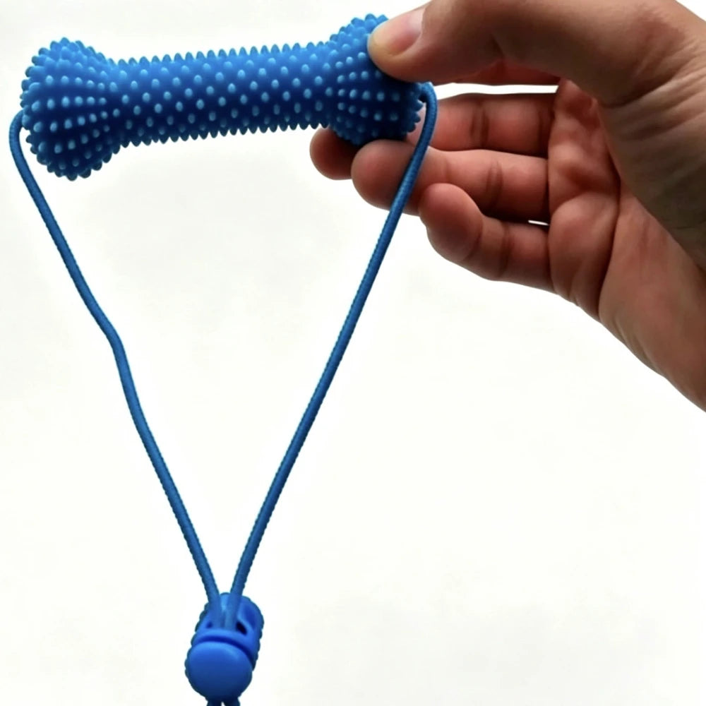 Pet Teeth Grinding and Tooth Brushing Stick
