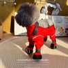 Dog Protective Walking Boots