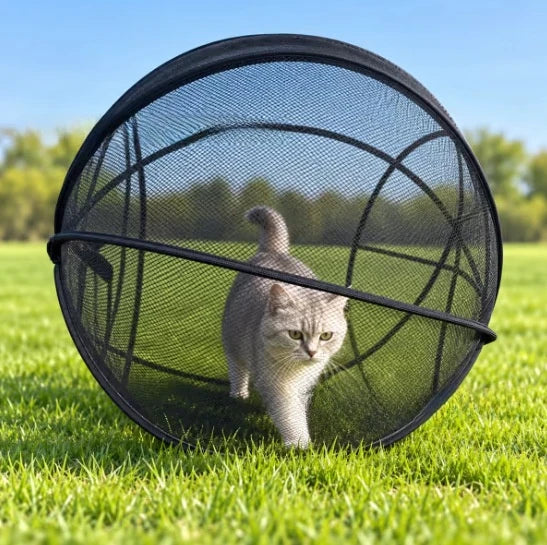 Pop-Up Cat Playpen