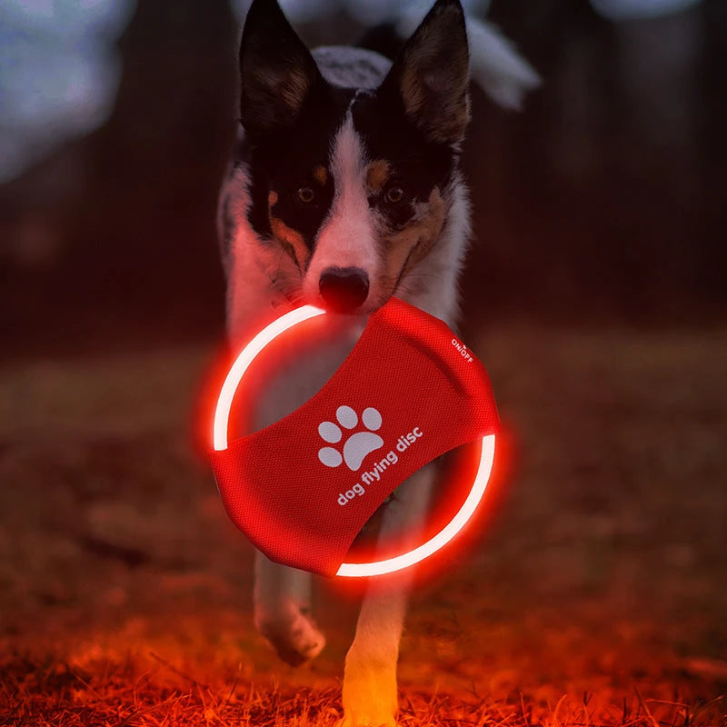 LED Rechargeable Dog Flying Disc