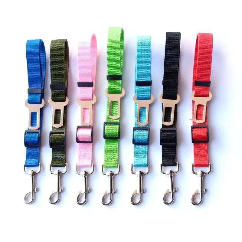 Dual Purpose Dog Seat Belt Leash
