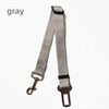 Dual Purpose Dog Seat Belt Leash
