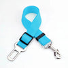 Dual Purpose Dog Seat Belt Leash