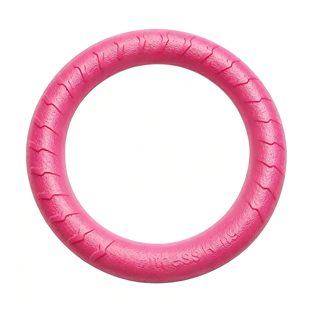 EVA Indestructible Dog Chew Toy Set