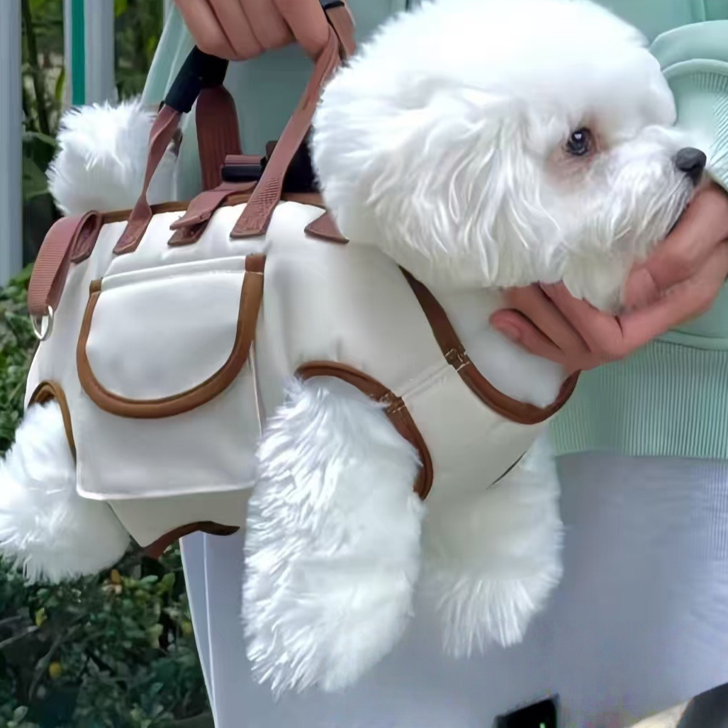 Pet dog backpack for portability