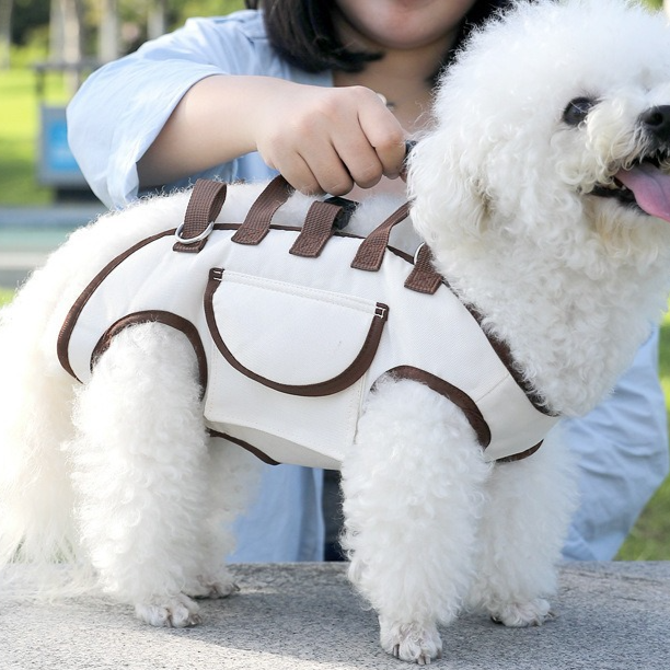 Pet dog backpack for portability
