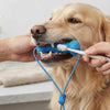 Pet Teeth Grinding and Tooth Brushing Stick