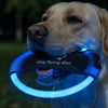 LED Rechargeable Dog Flying Disc